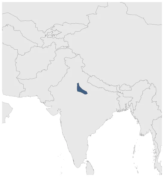 Maximum Extent