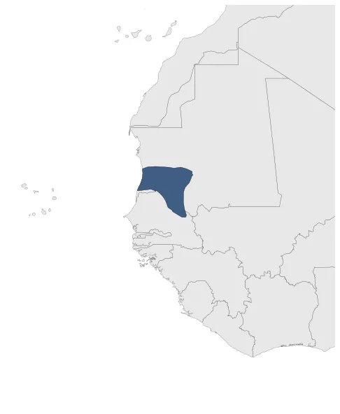 Takrur Kingdom: Maximal extension of the polity