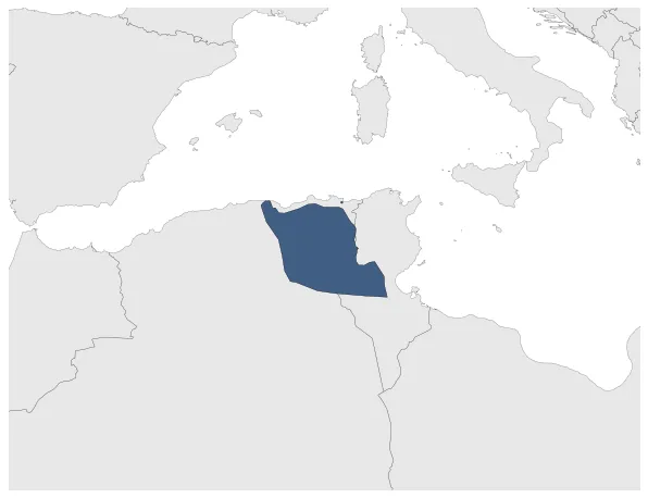 Maximum Extent
