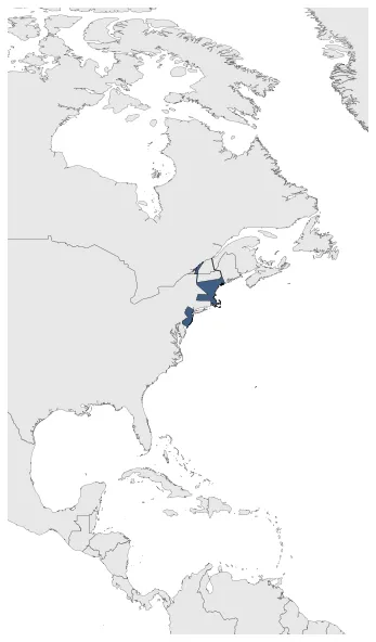 United Colonies: Maximal extension of the polity