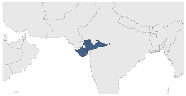 Vaghela Dynasty: Maximal extension of the polity