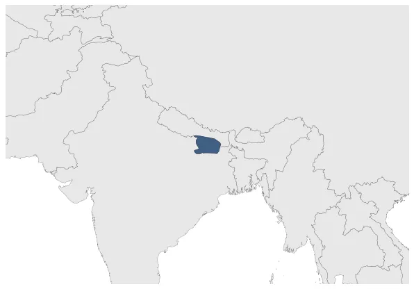 Maximum Extent