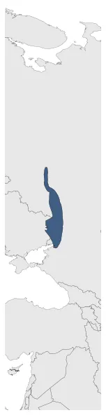 Maximum Extent