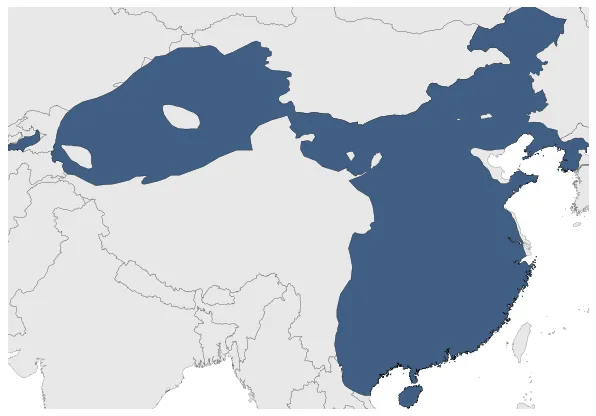 Xin Dynasty: Maximal extension of the polity