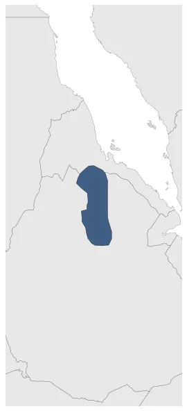 Zagwe Kingdom: Maximal extension of the polity