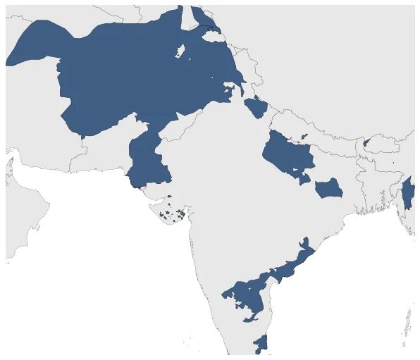 Maximum Extent