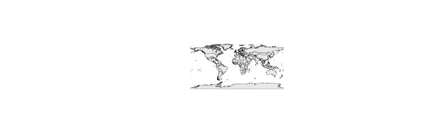 Maximum Extent