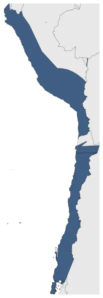 Maximum Extent
