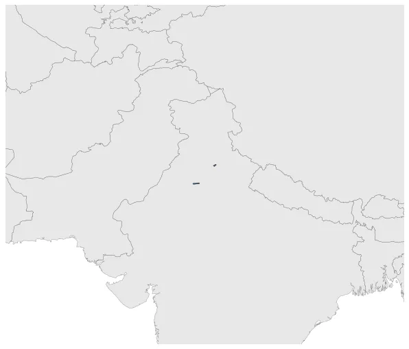 Maximum Extent