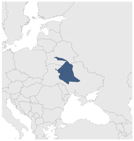 Maximum Extent