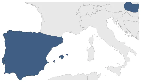 Maximum Extent
