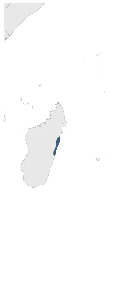 Maximum Extent
