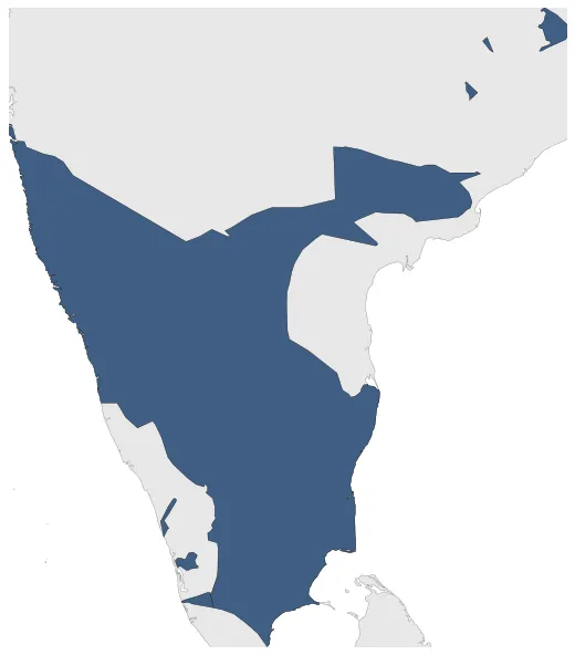 Maximum Extent