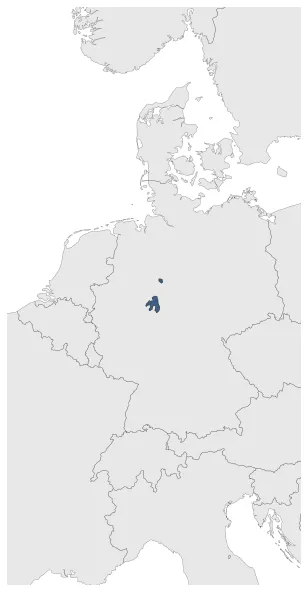 Maximum Extent