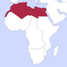 North Africa